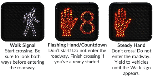 Walk signal: Start crossing; Flashing hand/countdown: Don't start, finish crossing; Steady hand: Don't cross